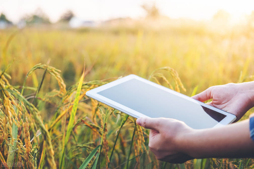 智慧农业未来：物联网+农业：连接性如何改变农业