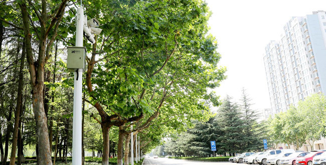 慧停车胶州市上海路管理路段 慧停车胶州市上海路管理路段