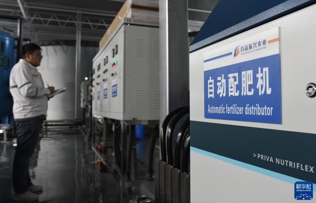 甘肃和政:智慧农业助力花卉产业升级