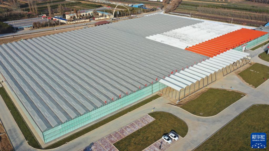 甘肃和政:智慧农业助力花卉产业升级