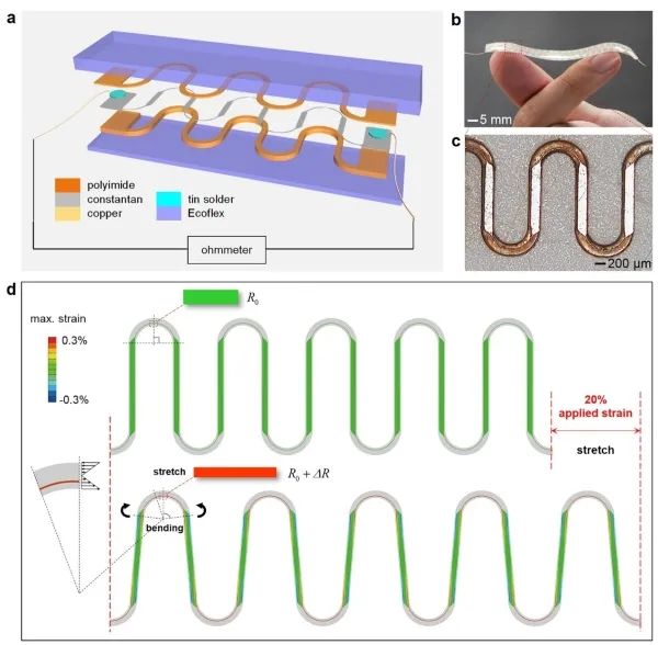 传感器的设计、制备和机理 传感器的设计、制备和机理