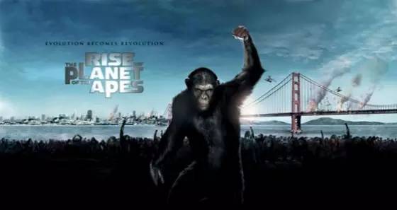 物女心经|物联网“泡”区块链,先攻“黄赌毒“再从良当大房