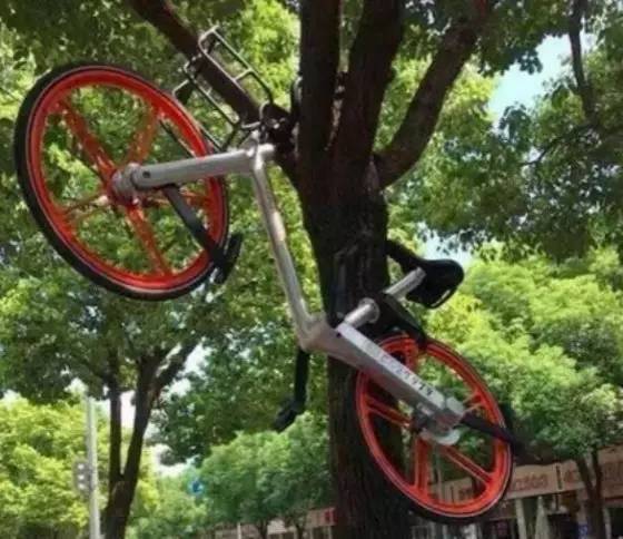 物女心经|物联网“泡”区块链,先攻“黄赌毒“再从良当大房