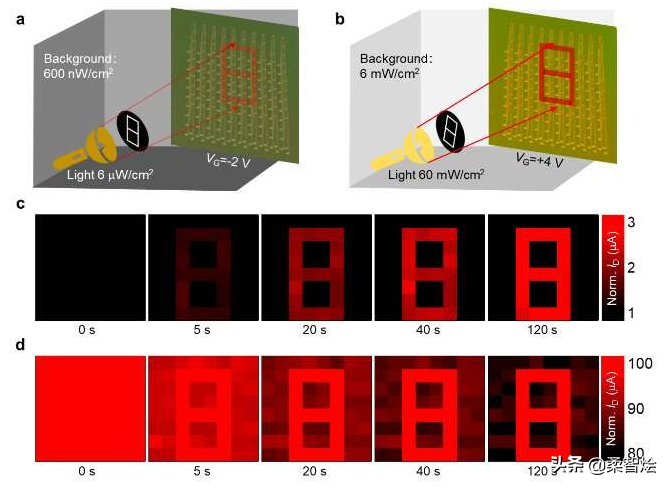 超薄半导体的光电晶体管型视觉传感器可提供更自适应的视觉感知