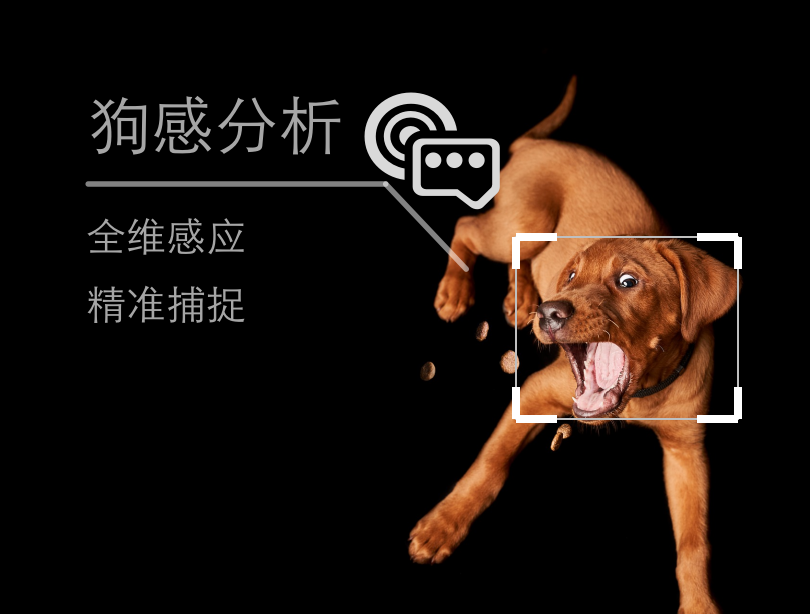 涂鸦智能联合知名宠物品牌湃妮全球首发「智能人汪情感翻译器」