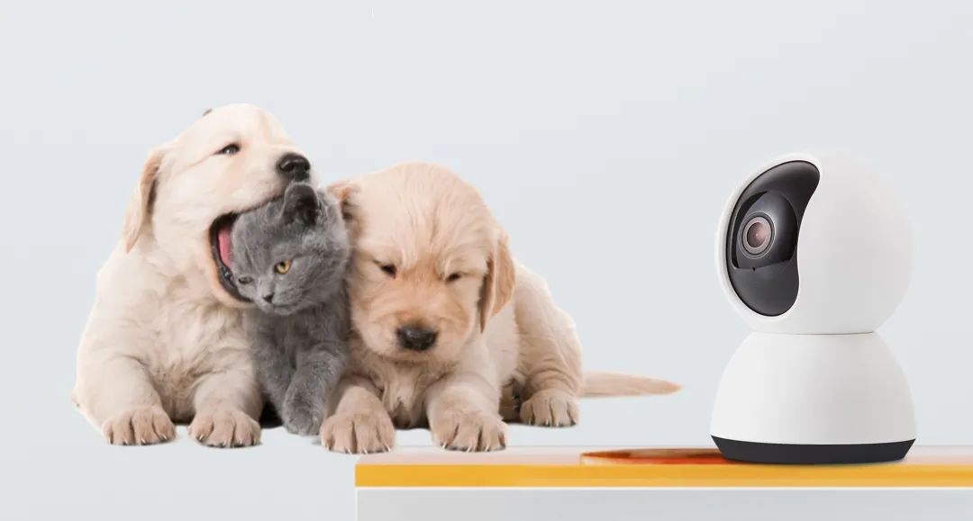 独居女生秒变大叔腔、铲屎官用摄像头逗猫，这些物联网企业如何致胜市场？