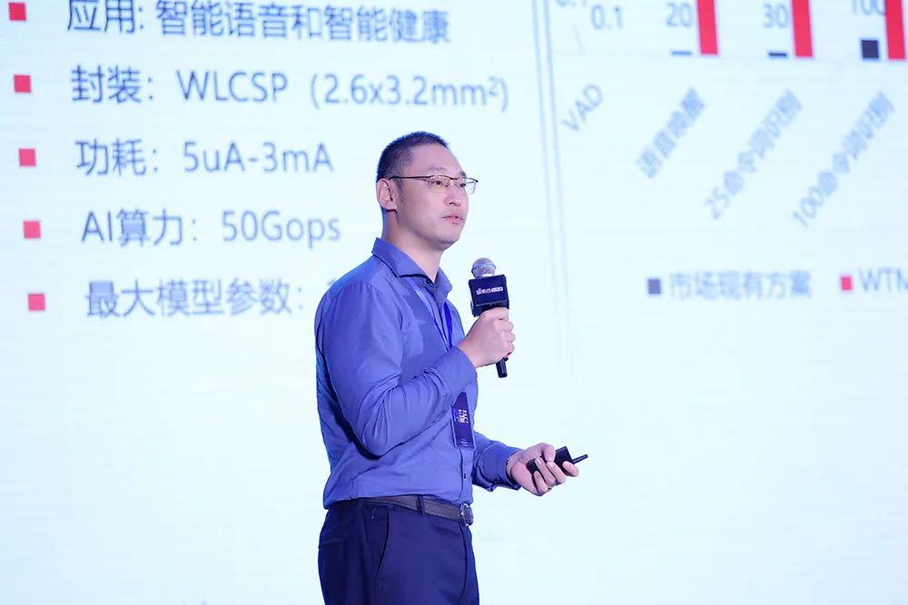 知存科技创始人兼CEO王绍迪
