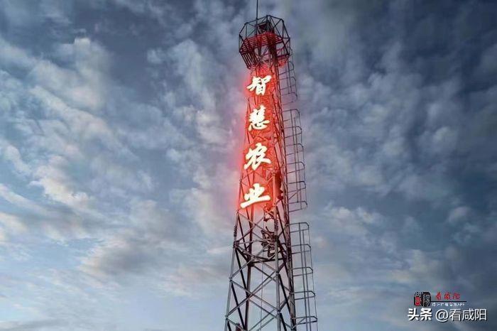 物聯網+智慧農業 推進長武縣數字農業建設高質量發展
