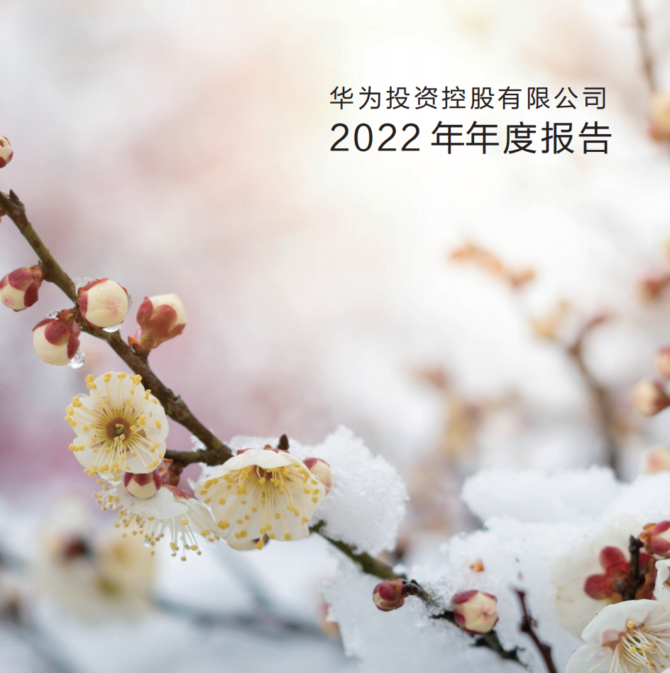 数字能源营收超越华为云,华为又踩中了风口 数字能源营收超越华为云,华为又踩中了风口