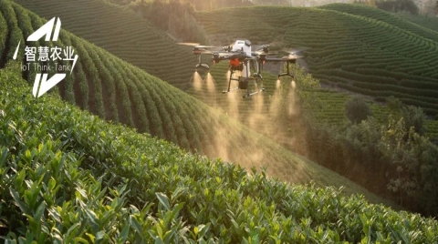 “春种一粒粟，秋收万颗子”是如何被智慧农业颠覆的？