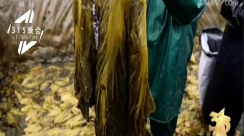 儿童智能手表竟成行走的偷窥器？315曝光的这些科技黑幕比老坛酸菜还“酸爽”