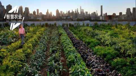 从播种到收割，一场诞生于田间地头的智慧农业革命！