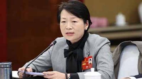 全国人大代表，中国电信湖北公司党委书记、总经理张敏：统筹发展和安全、建设网络强国和数字中国、加快科技创新