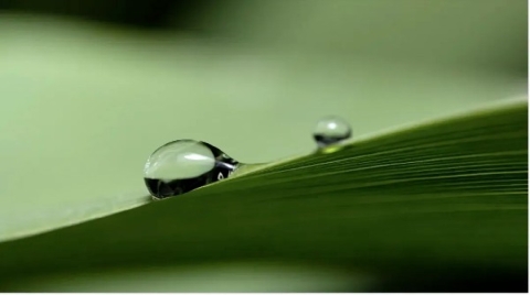 国产 RISC-V 开源处理器“香山”新归属：北京开源芯片研究院官宣