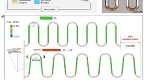柔性大应变传感器基础研究获进展并在火星工程中应用