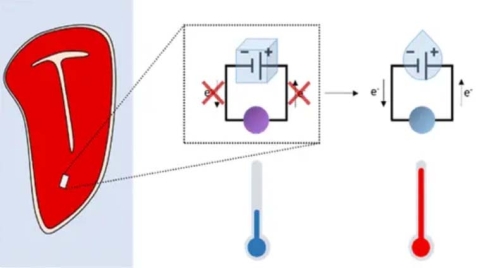自供电的传感器可改变颜色 以警告冷冻食品是否解冻