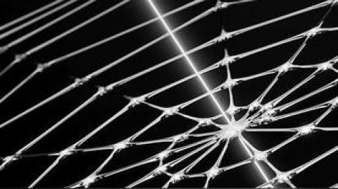 蛛网灵感打造最精密微芯片传感器