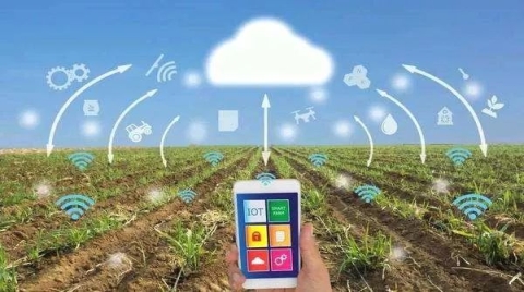 中央一号文件发布 智慧农业是国家发展战略的重要组成部分