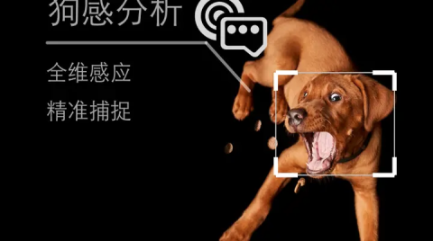 涂鸦智能联合知名宠物品牌湃妮全球首发「智能人汪情感翻译器」
