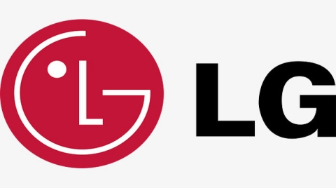 韩国电池龙头LG新能源市值蒸发近30%