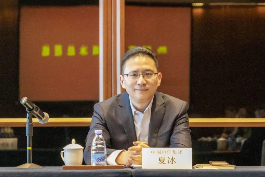 中国电信集团副总经理夏冰 中国电信集团副总经理夏冰