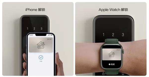 16423856045569ef.jpg