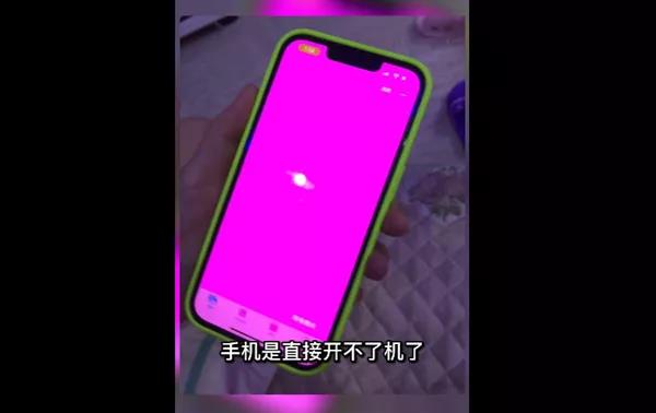 网友曝iPhone 13 Pro Max刚买两个月粉屏、主板烧坏