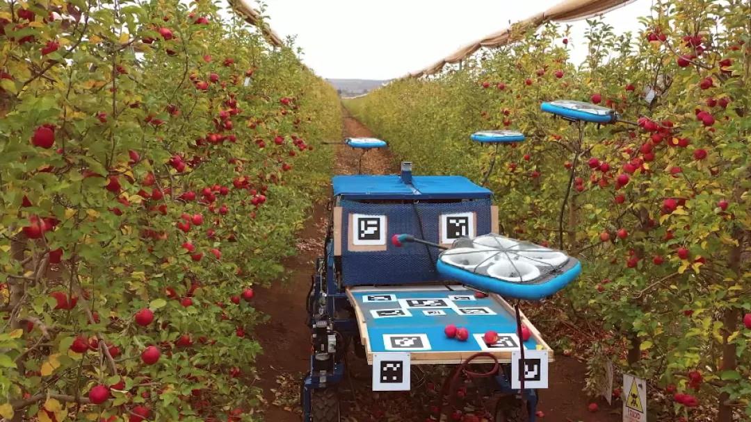 以色列初创公司开发利用无人机采摘水果的系统