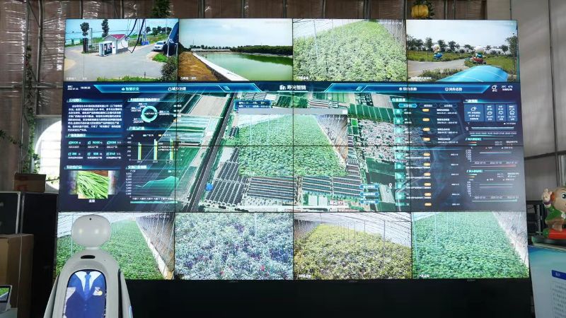 图片6 (5)  山东寿光“设施蔬菜智脑”大屏 图片6 (5)  山东寿光“设施蔬菜智脑”大屏