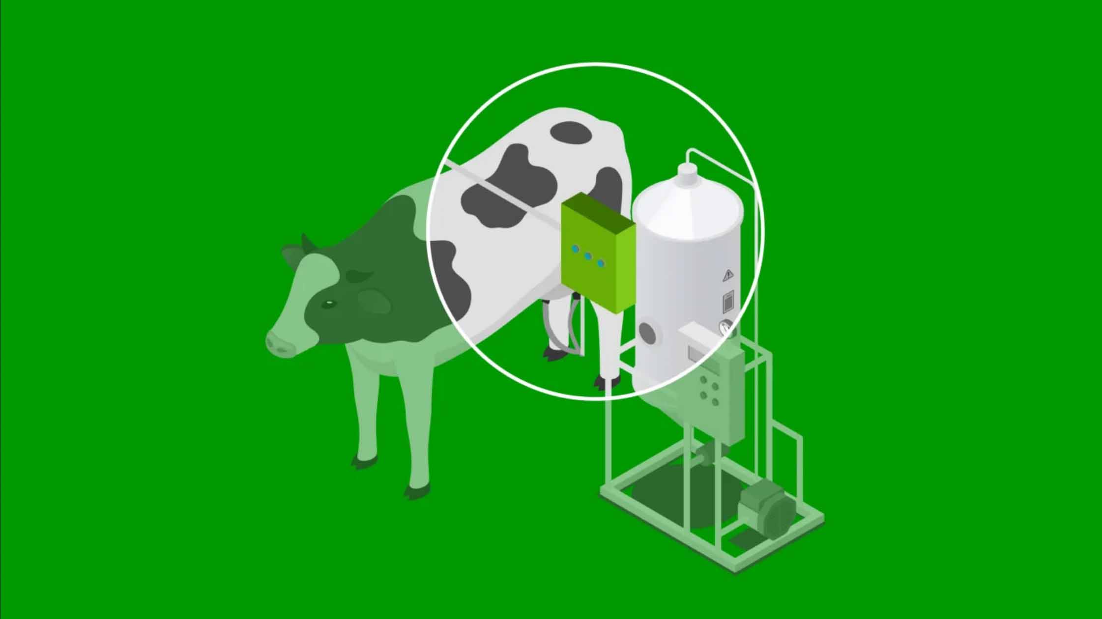 Labby希望借助传感器实现奶牛的每日自动化检测