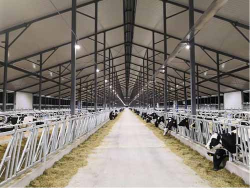 顺舟智能助力大理洱源牧场智慧照明建设 顺舟智能助力大理洱源牧场智慧照明建设